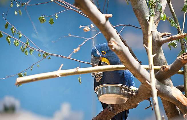 ddos压力测试网页端