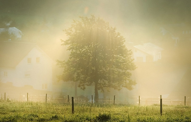 服务器攻击软件