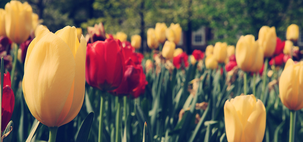 ddos网页在线攻击