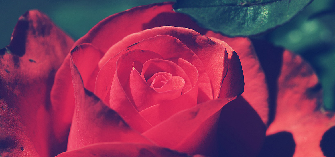 服务器攻击软件